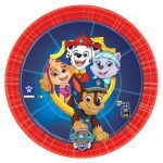 paw patrol festa a tema