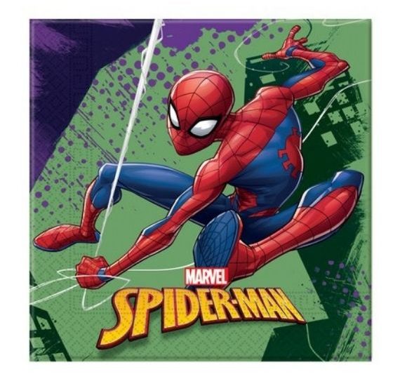 festa a tema spiderman