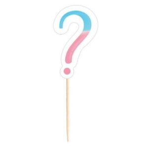 decorazioni gender reveal