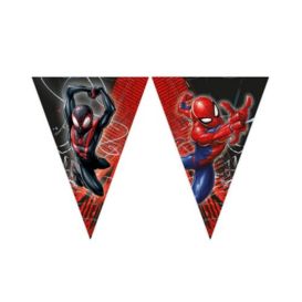 festa a tema spiderman