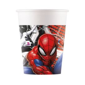 festa a tema spiderman