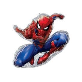 festa a tema spiderman