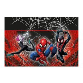 festa a tema spiderman