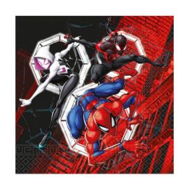 festa a tema spiderman